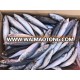 high Quality Frozen Pacific Mackerel Fish for sale